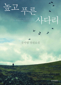 높고 푸른 사다리 - 공지영 장편소솔