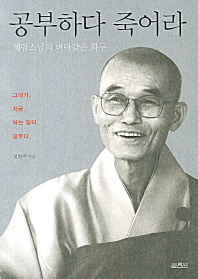 공부하다 죽어라 - 혜암스님의 벼락같은 화두