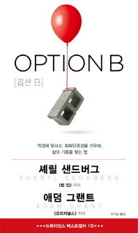 옵션 B  역경에 맞서고, 회복탄력성을 키우며, 삶의 기쁨을 찾는 법 