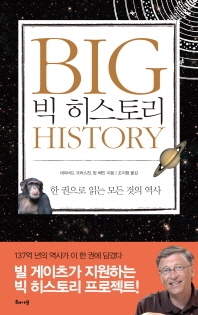 빅 히스토리