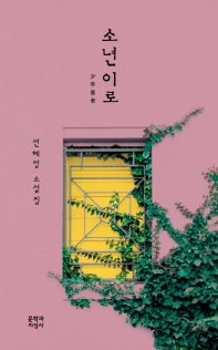 소년이로  편혜영 소설집 