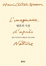 영혼의 시선