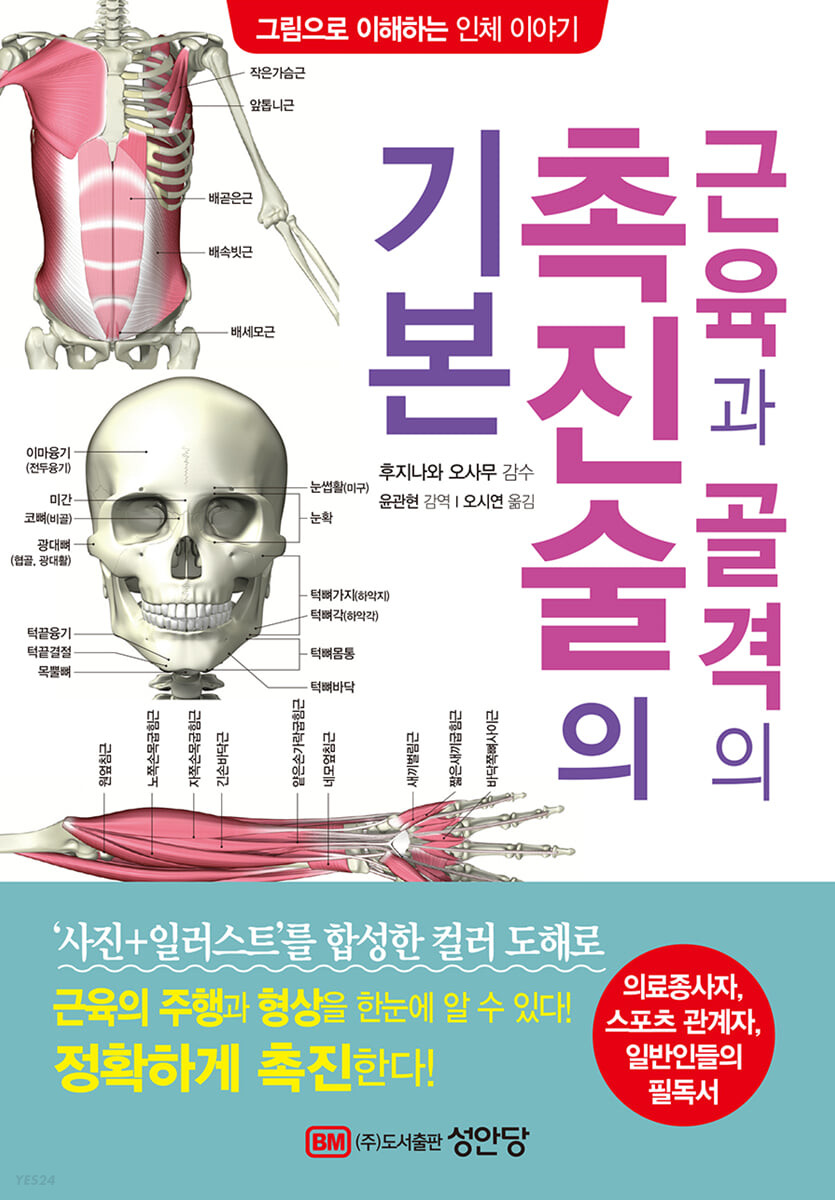 [eBook] 근육과 골격의 촉진술의 기본