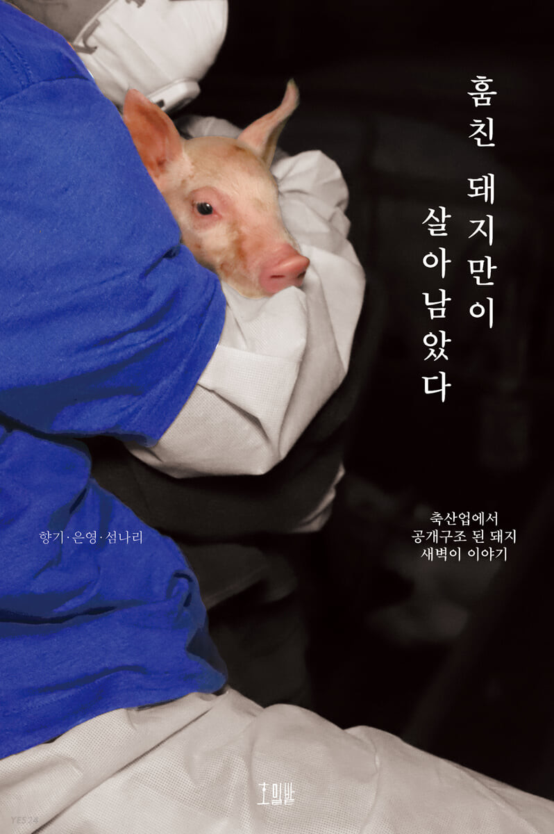 [eBook] 훔친 돼지만이 살아남았다