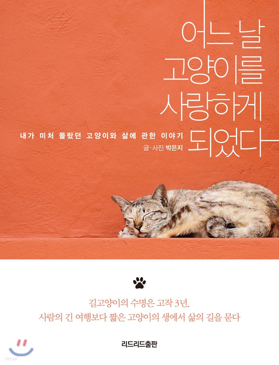 [eBook] 어느 날 고양이를 사랑하게 되었다.