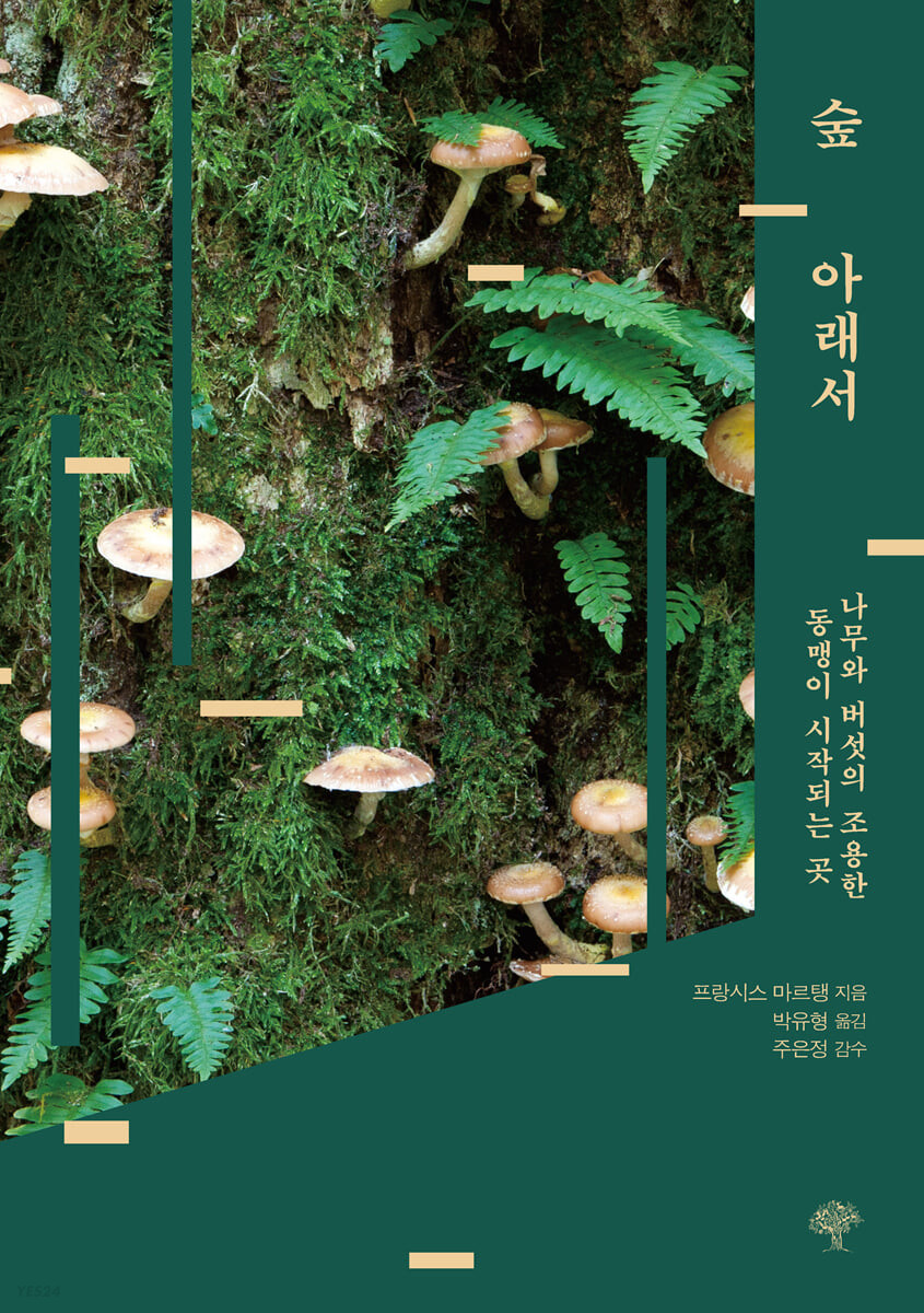 숲 아래서