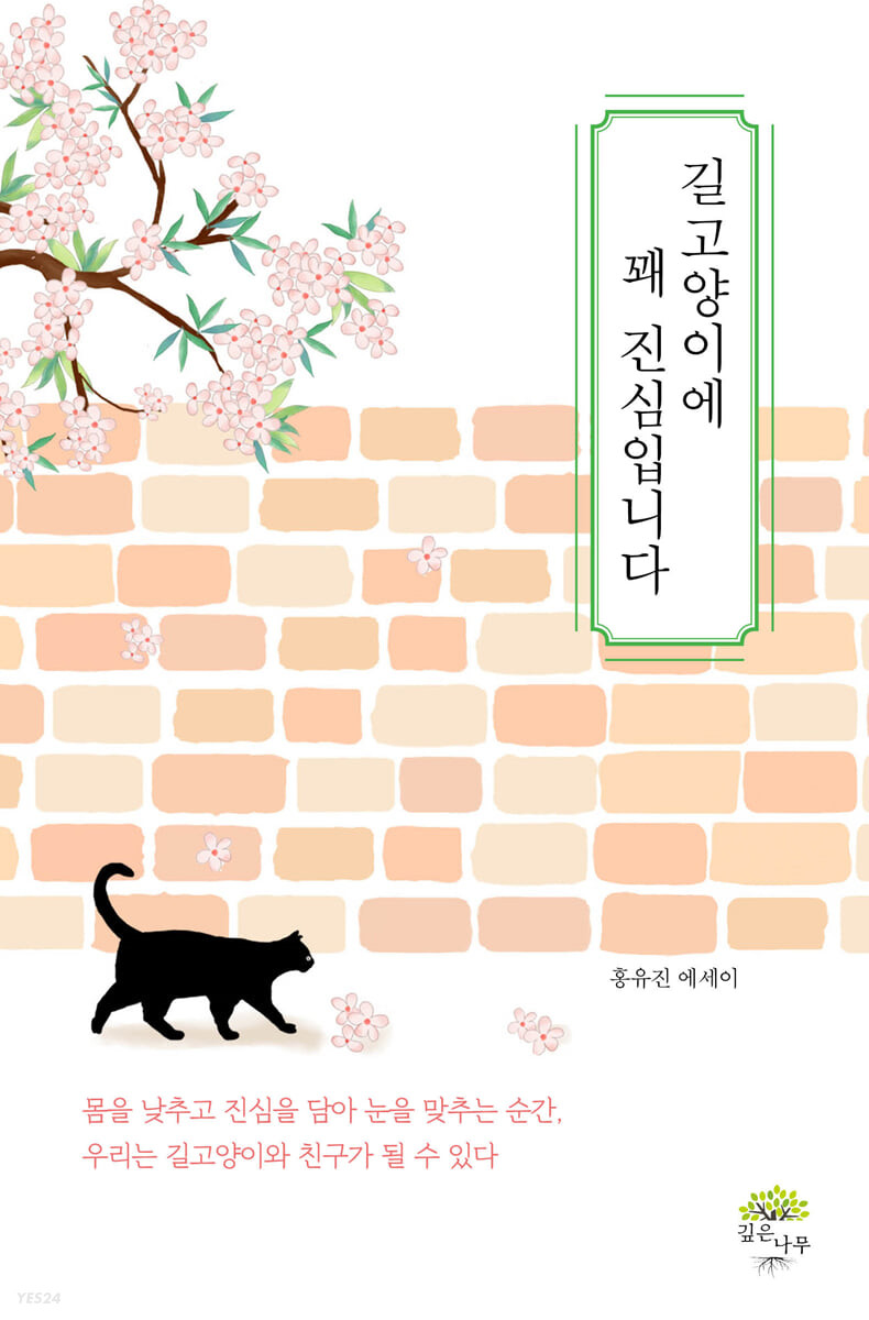 길고양이에 꽤 진심입니다