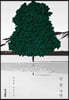[eBook] 단 한 사람