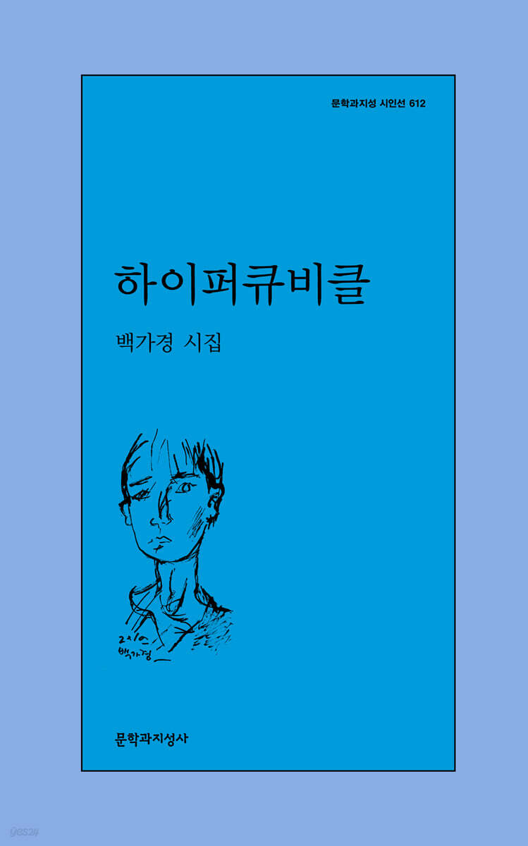 하이퍼큐비클