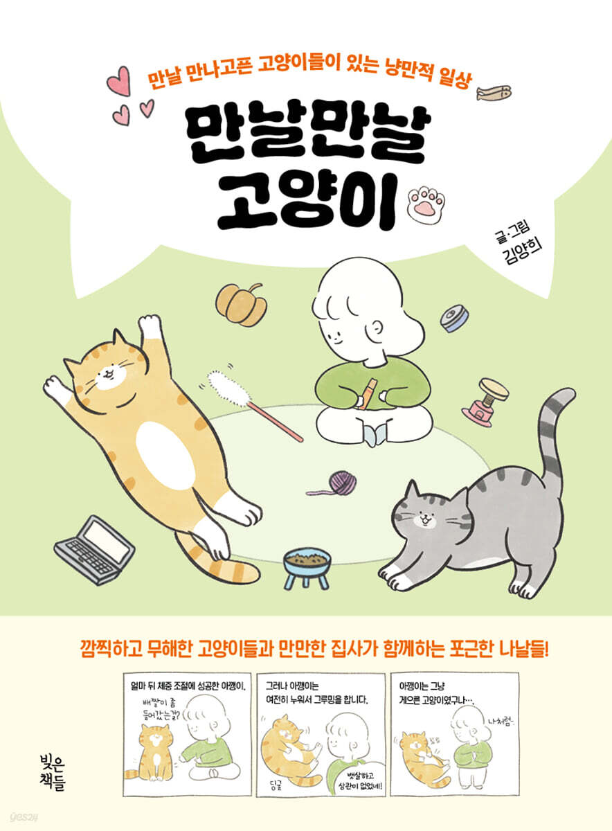 만날만날 고양이