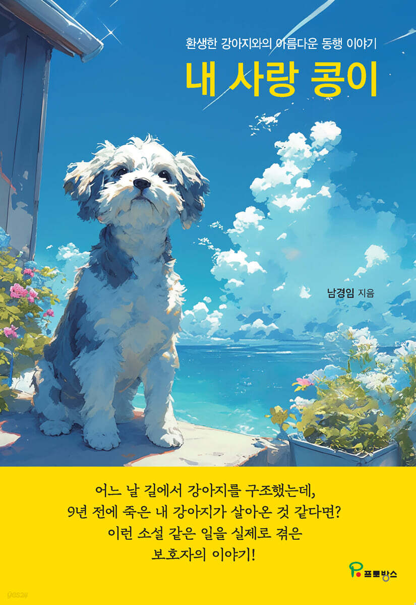 내 사랑 콩이